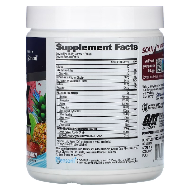 GAT, Flexx EAAs + Hydration, Fruit Punch, 12.2 oz (345 g)